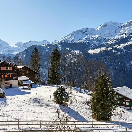 Appartement Bergrose 1 *